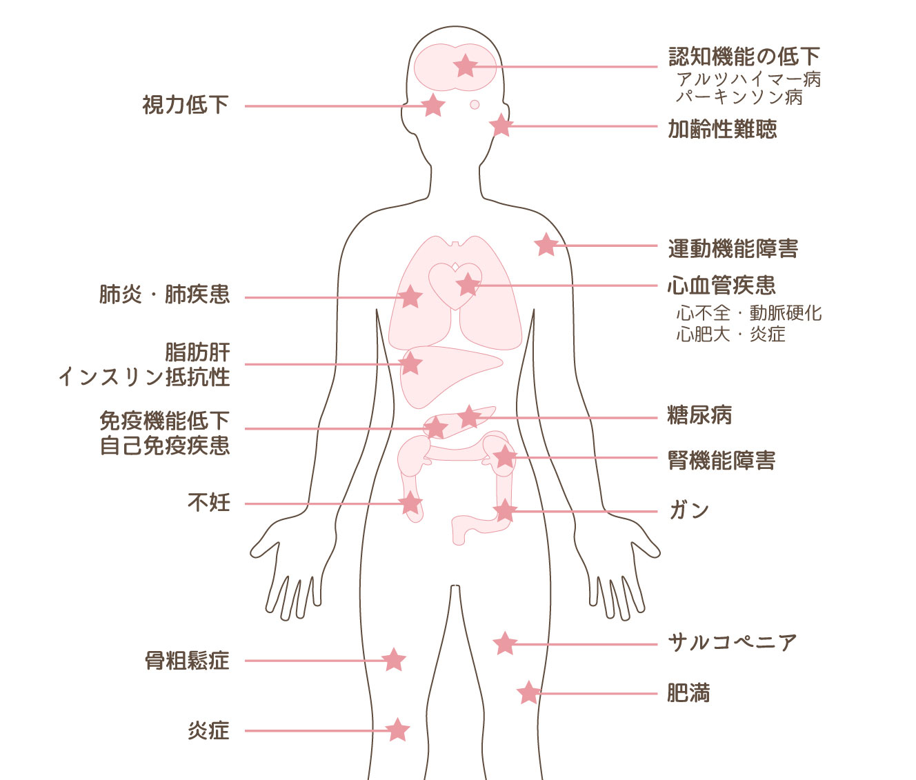 期待できる疾病治療効果