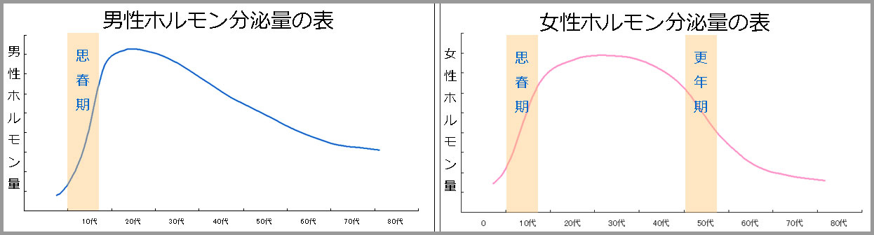 男性ホルモン（テストステロン）のグラフ